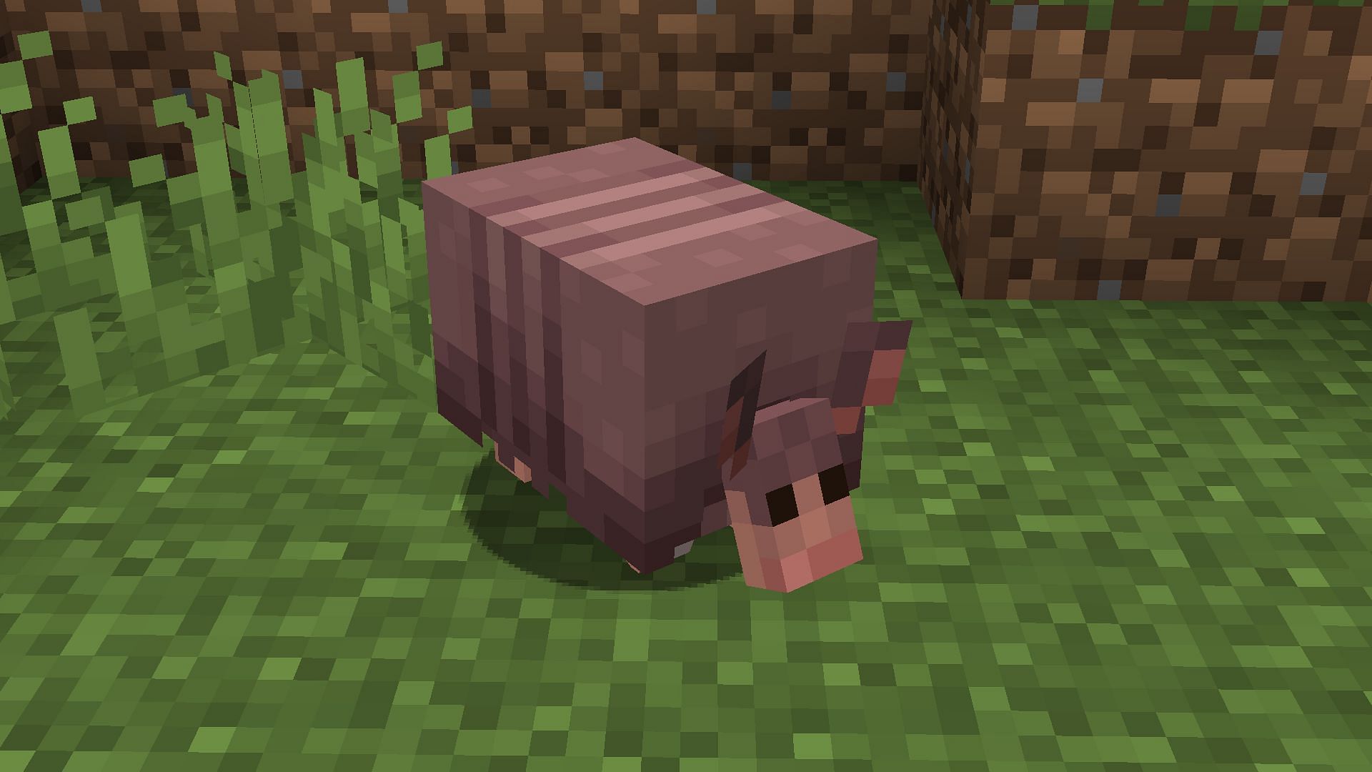 There is a chance that armadillo mob might release before the Minecraft 1.21 update (Image via Mojang)