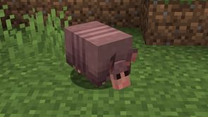 Armadillo might release before Minecraft 1.21 update