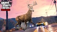 5 GTA Online Bugs That Rockstar Has Now Fixed Latest News Breaking 