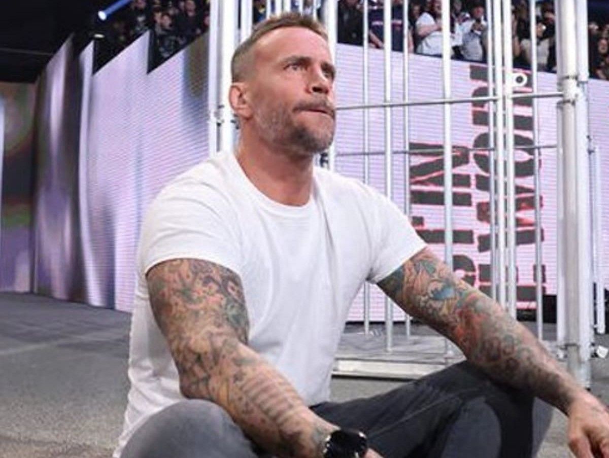 CM Punk shocked the world with his return to WWE in November.