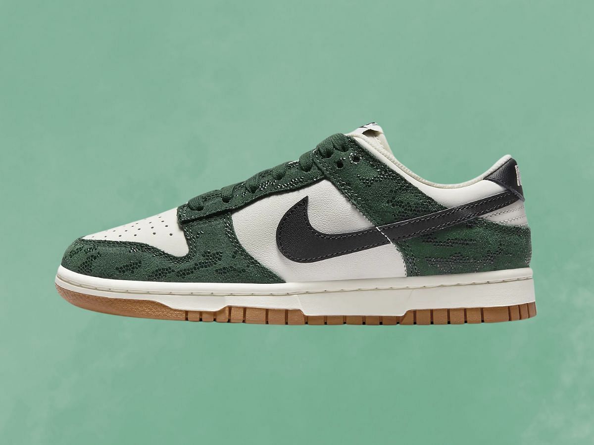 Nike Dunk Low Women&#039;s Shoes (Image via Nike)