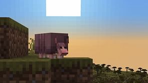 Minecraft Bedrock Beta/Preview 1.20.60.23 patch notes: Armadillo, wolf armor, and more