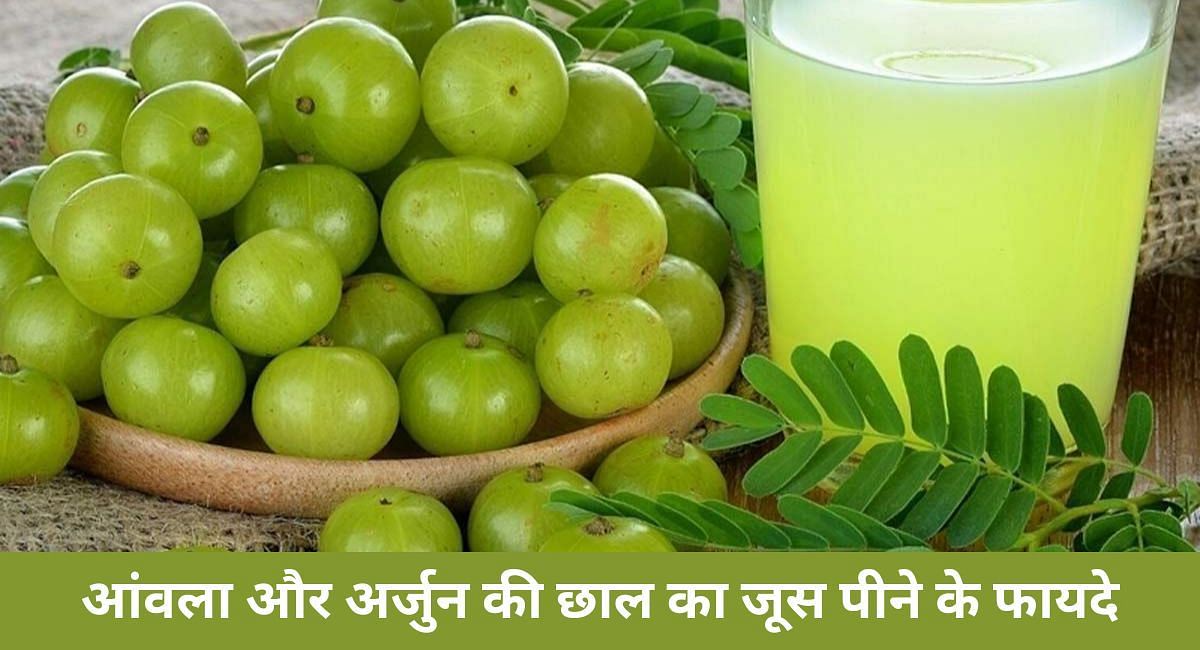 आंवला और अर्जुन की छाल का जूस पीने के फायदे(फोटो-Sportskeeda hindi)