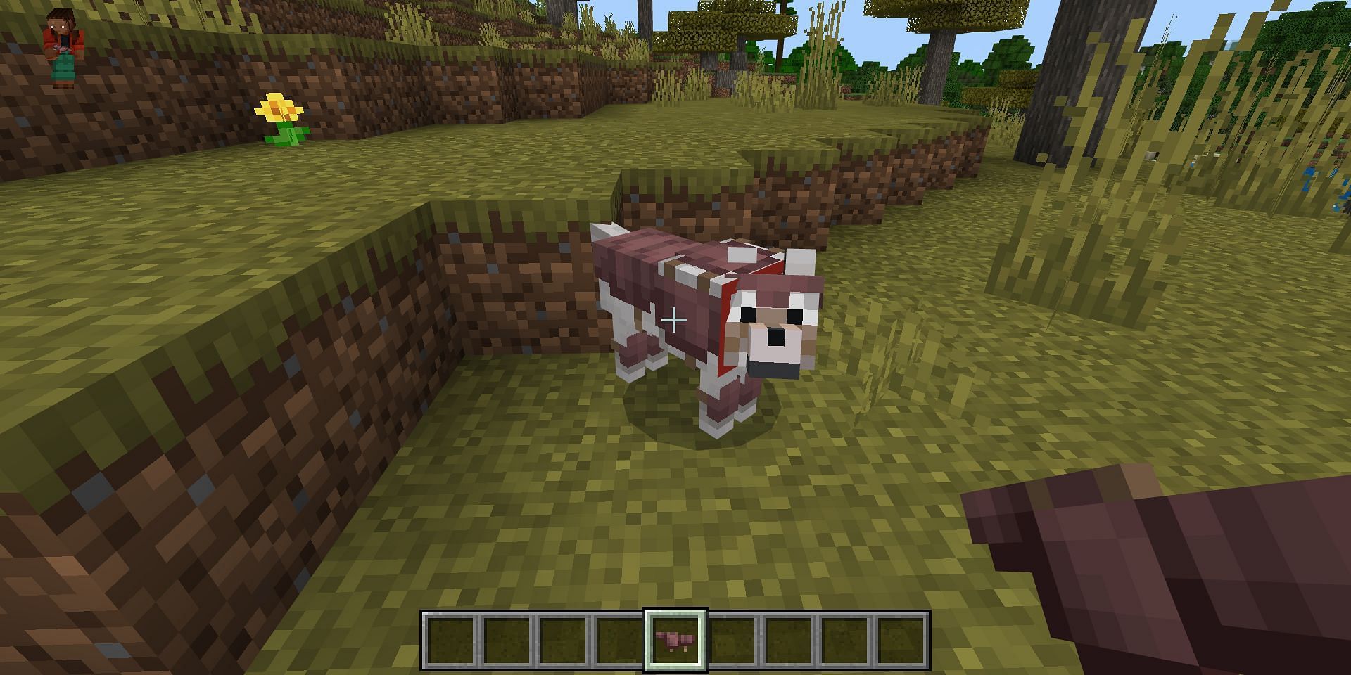 Armure de loup dans la version bêta de Minecraft Bedrock (Image via Mojang)