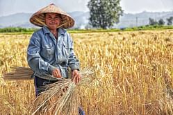 5 Major Reasons To Add Bomba Rice To Your Diet