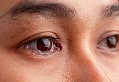 Link between women's chemical signals and male aggression