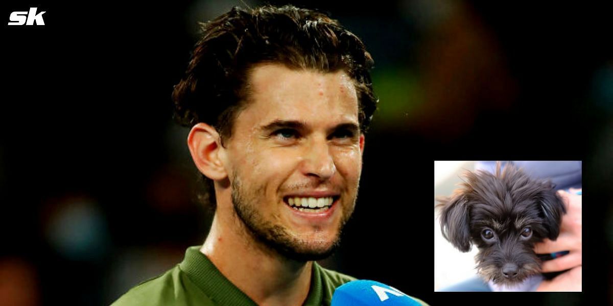 Dominic Thiem and his new puppy, Pipo