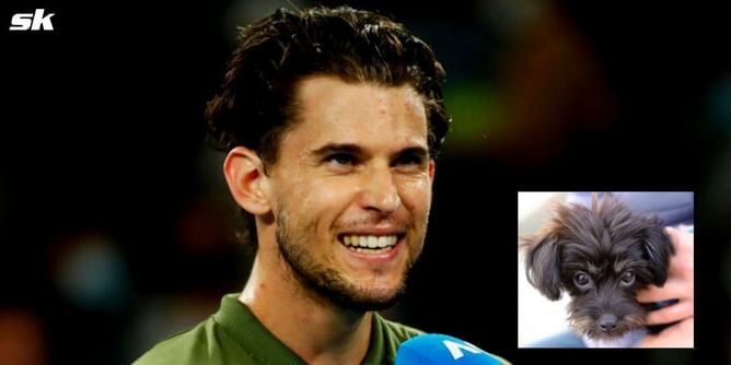 "The newest member of our family" - Dominic Thiem introduces fans to his pet dog Pipo