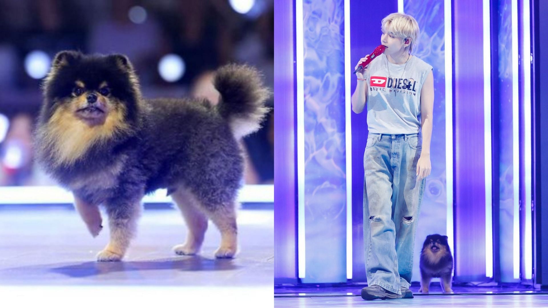 Featuring Yeontan &amp; Kim Taehyung (Image via M Countdown)