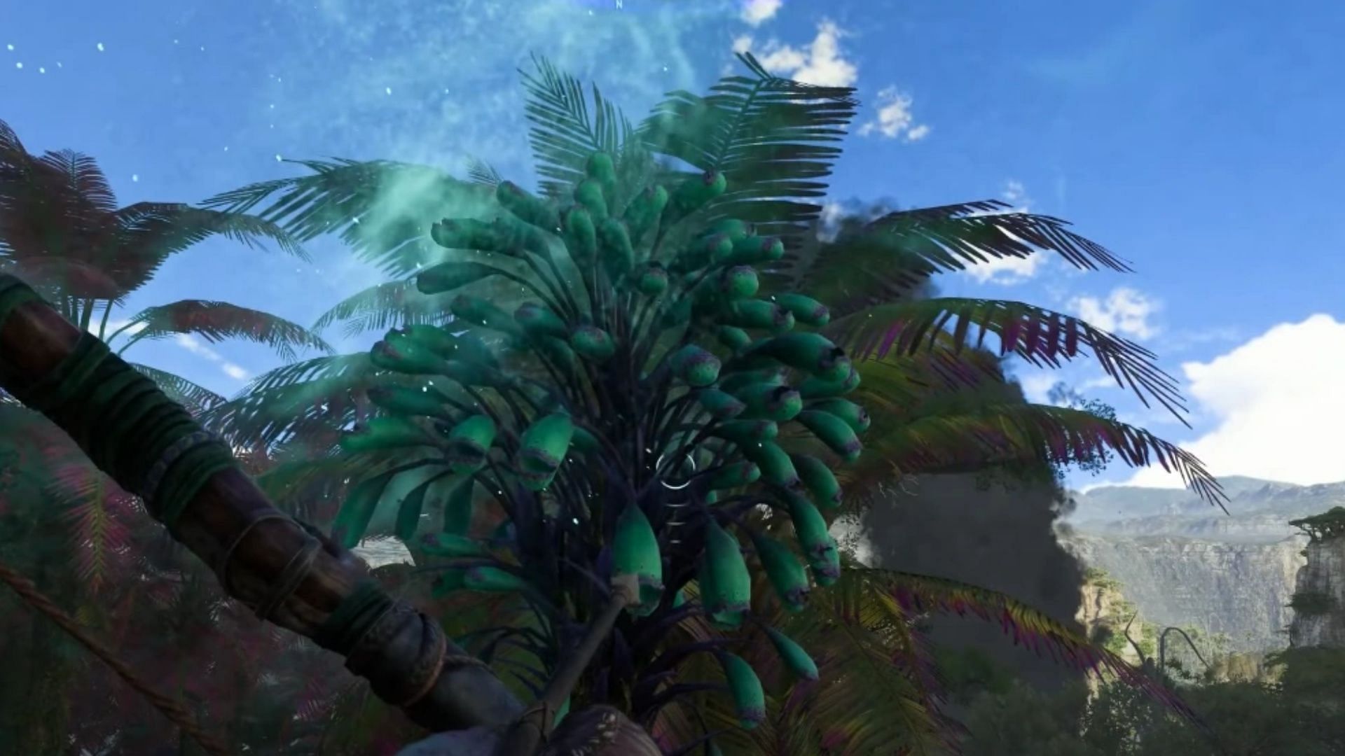 These dark green trees hold the essence of vitality (Image via Ubisoft)