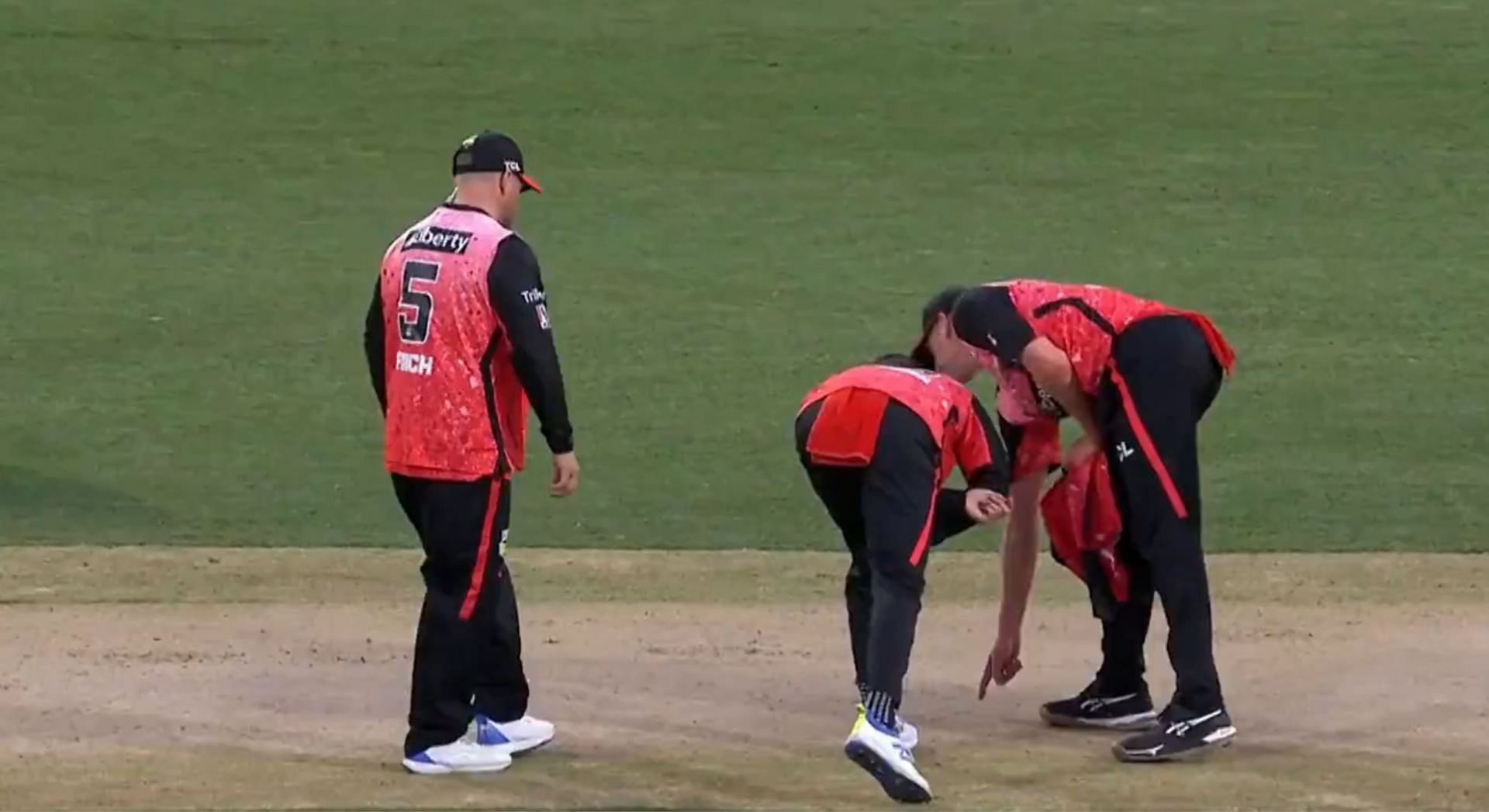 Melbourne Renegades Vs Perth Scorchers BBL Clash Abandoned Due To ...