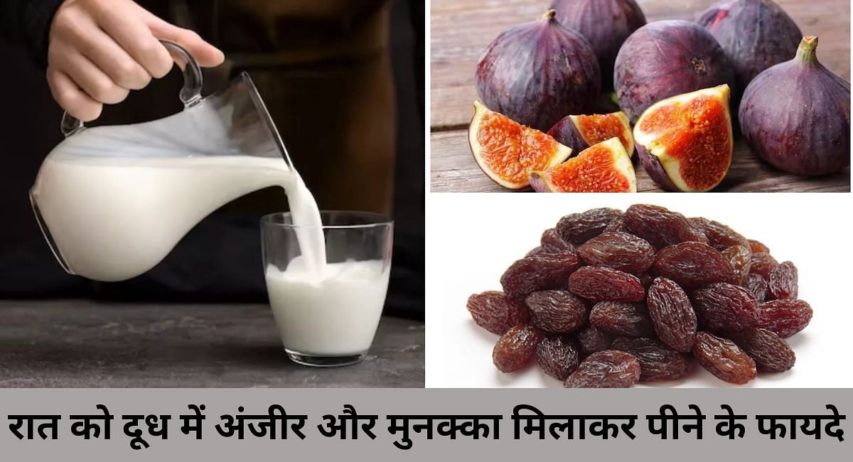 रात को दूध में अंजीर और मुनक्का मिलाकर पीने के फायदे(फोटो-Sportskeeda hindi)