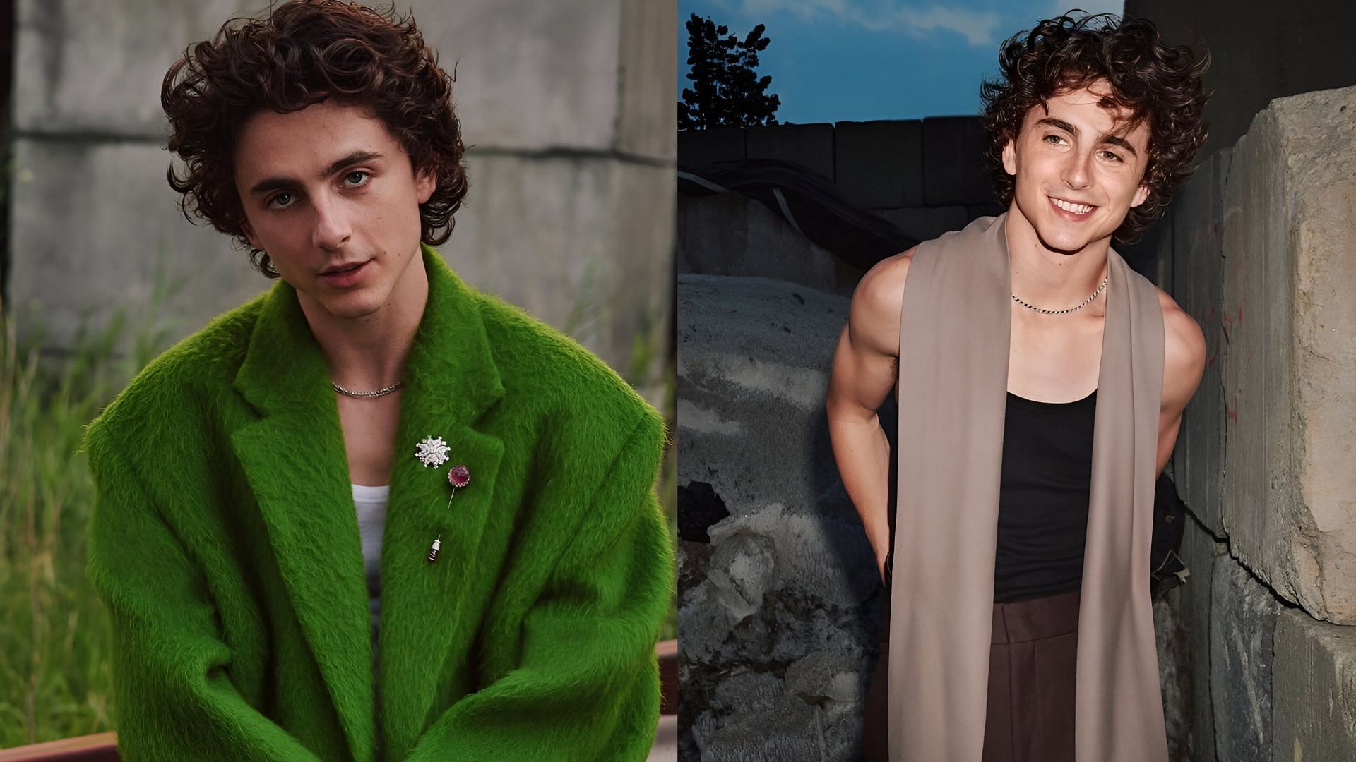 Timothee Chalamet