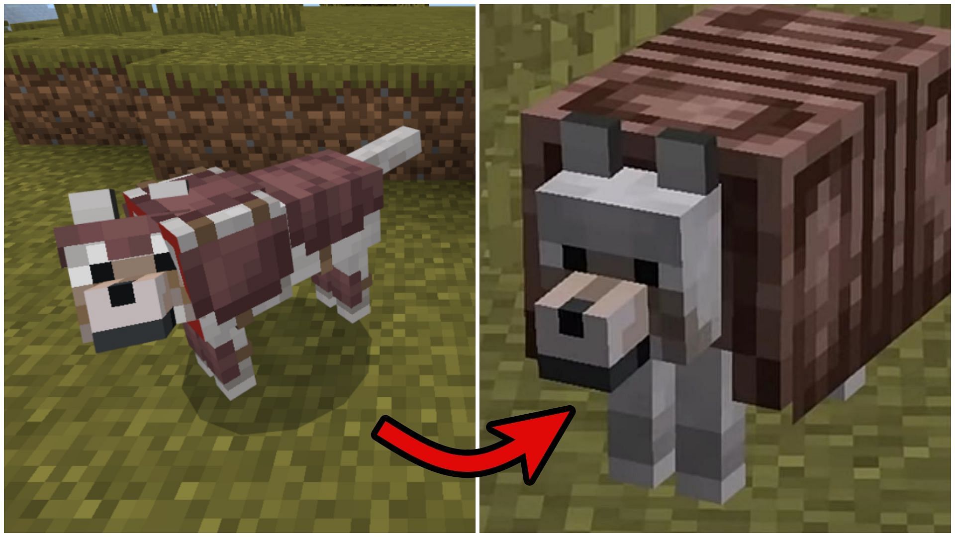 Minecraft Redditor creates a hilarious thick wolf armor (Image via Mojang)