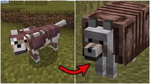 Minecraft player creates their own hilarious wolf armor design