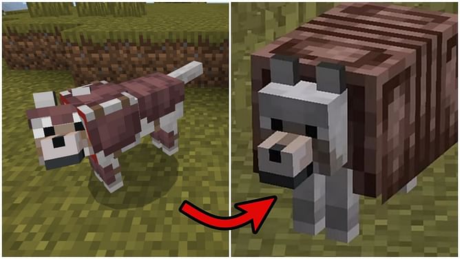 Minecraft player creates their own hilarious wolf armor design