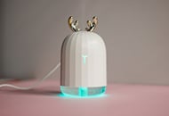 Use a humdifier to remove dust/allergies (Image via Unsplash/ Ulla Shinami)