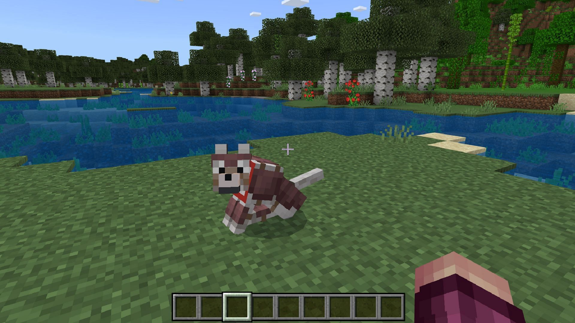 Wolf armor can help keep a Minecraft player&#039;s canine companion safe (Image via Mojang)