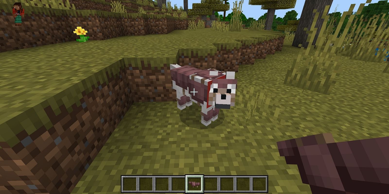 What do armadillos eat in Minecraft?
