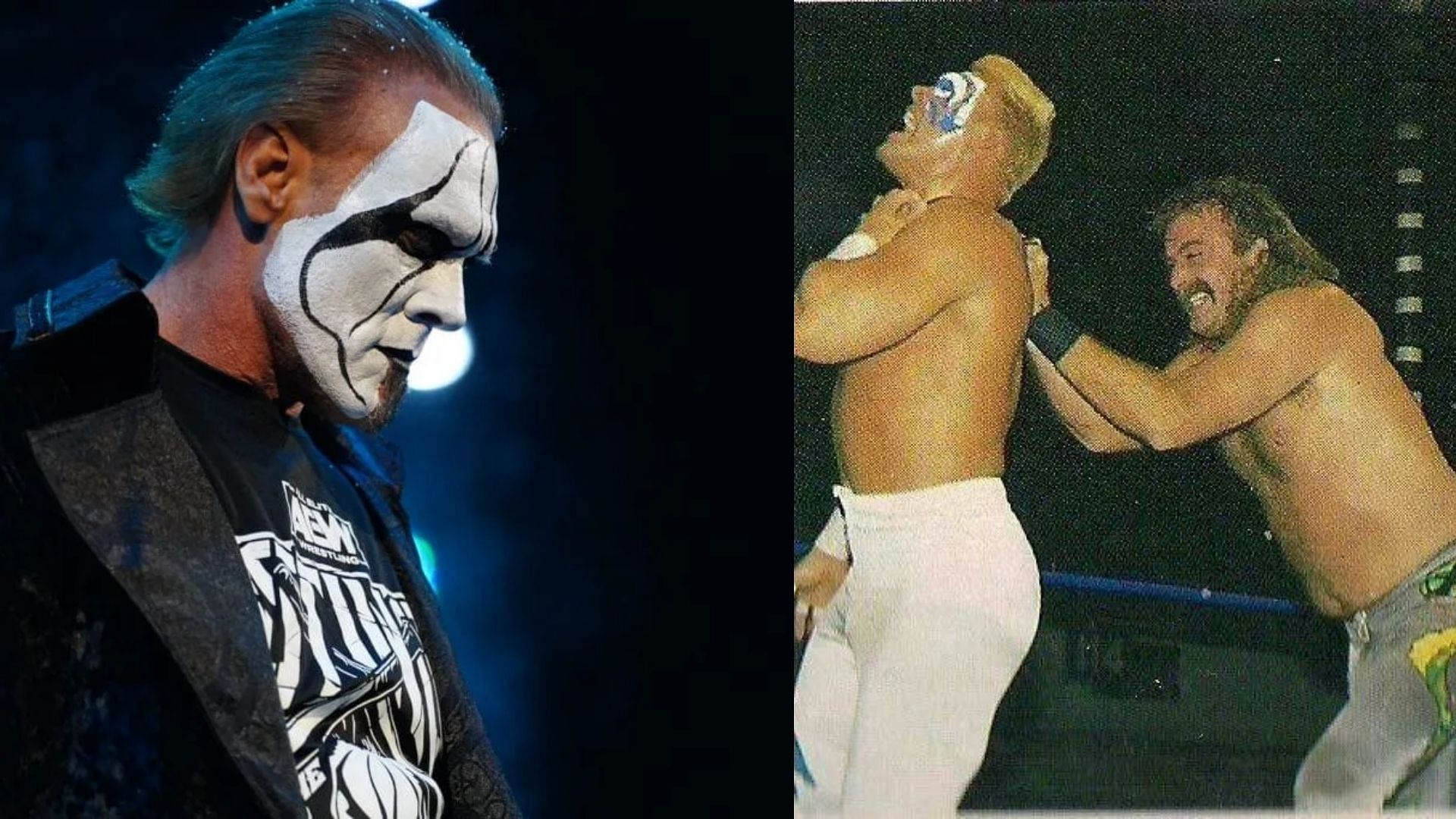 Jake Roberts recalls his infamous match with Sting from 30 years ago.
