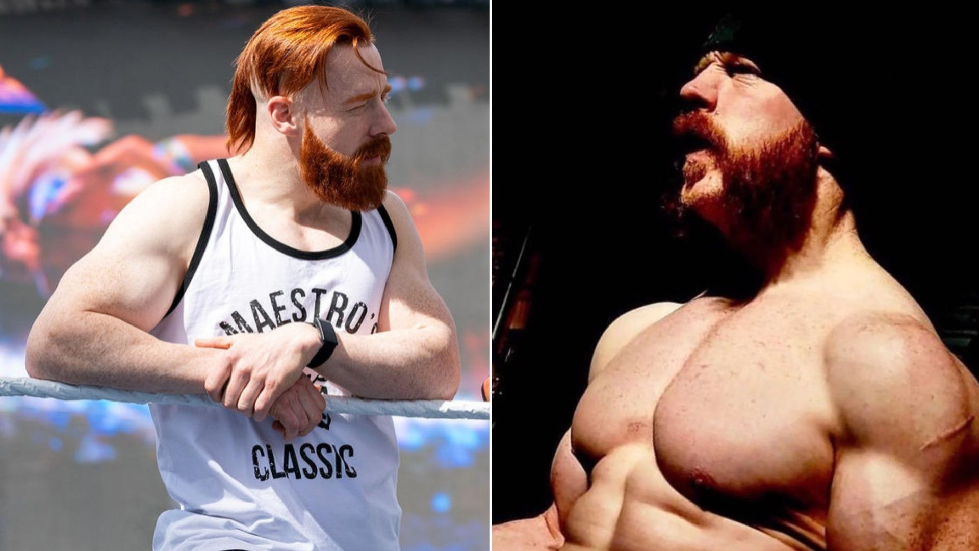Sheamus is a former multi-time WWE Champion.