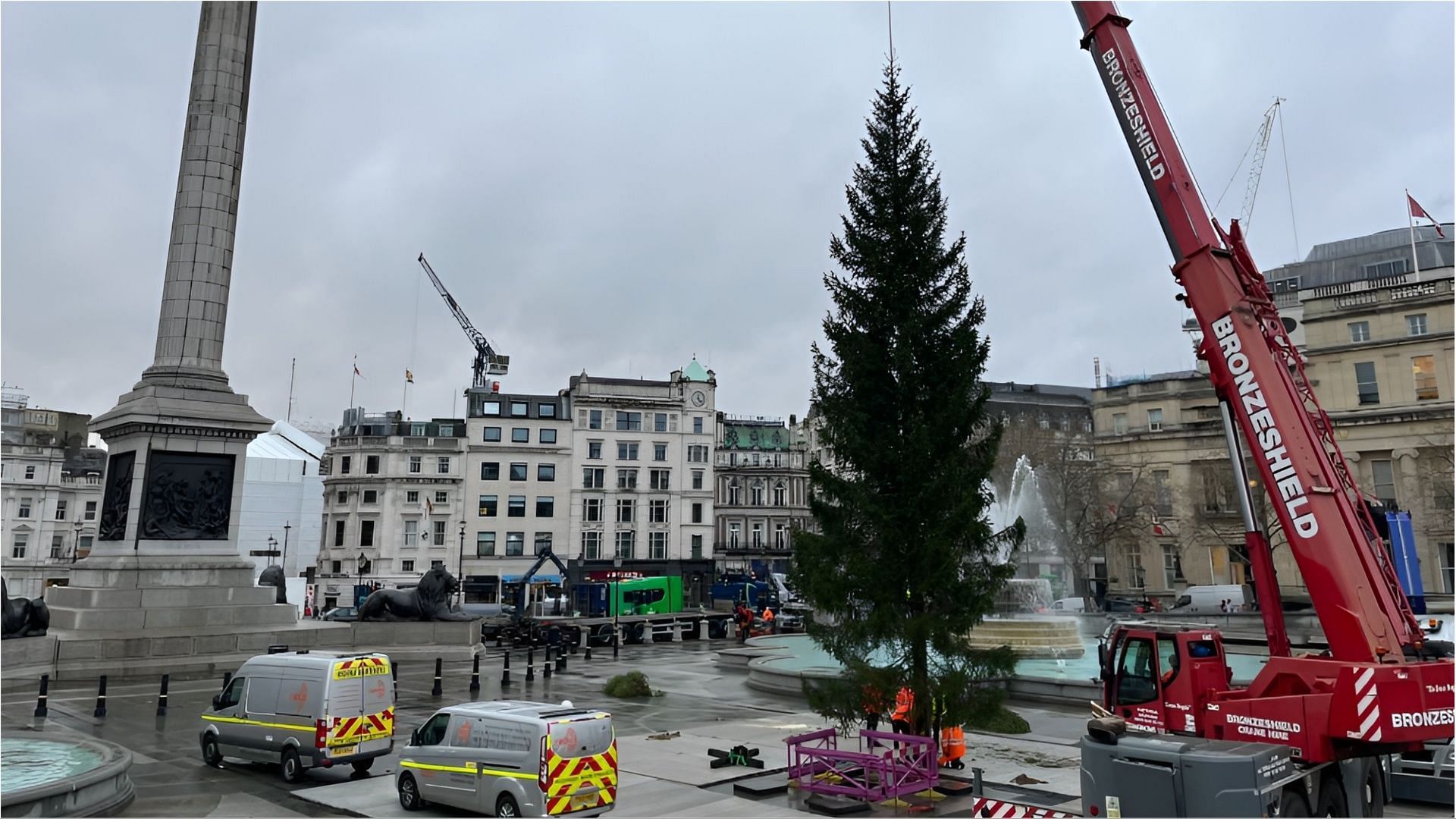 "Does It Look Quite Dead?" - Trafalgar Square Christmas Tree's ...