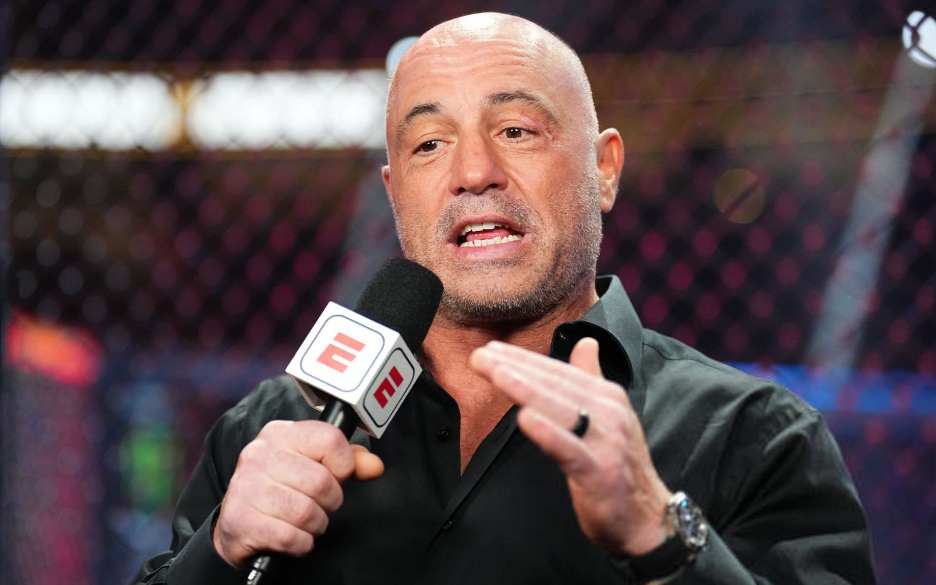 Joe Rogan