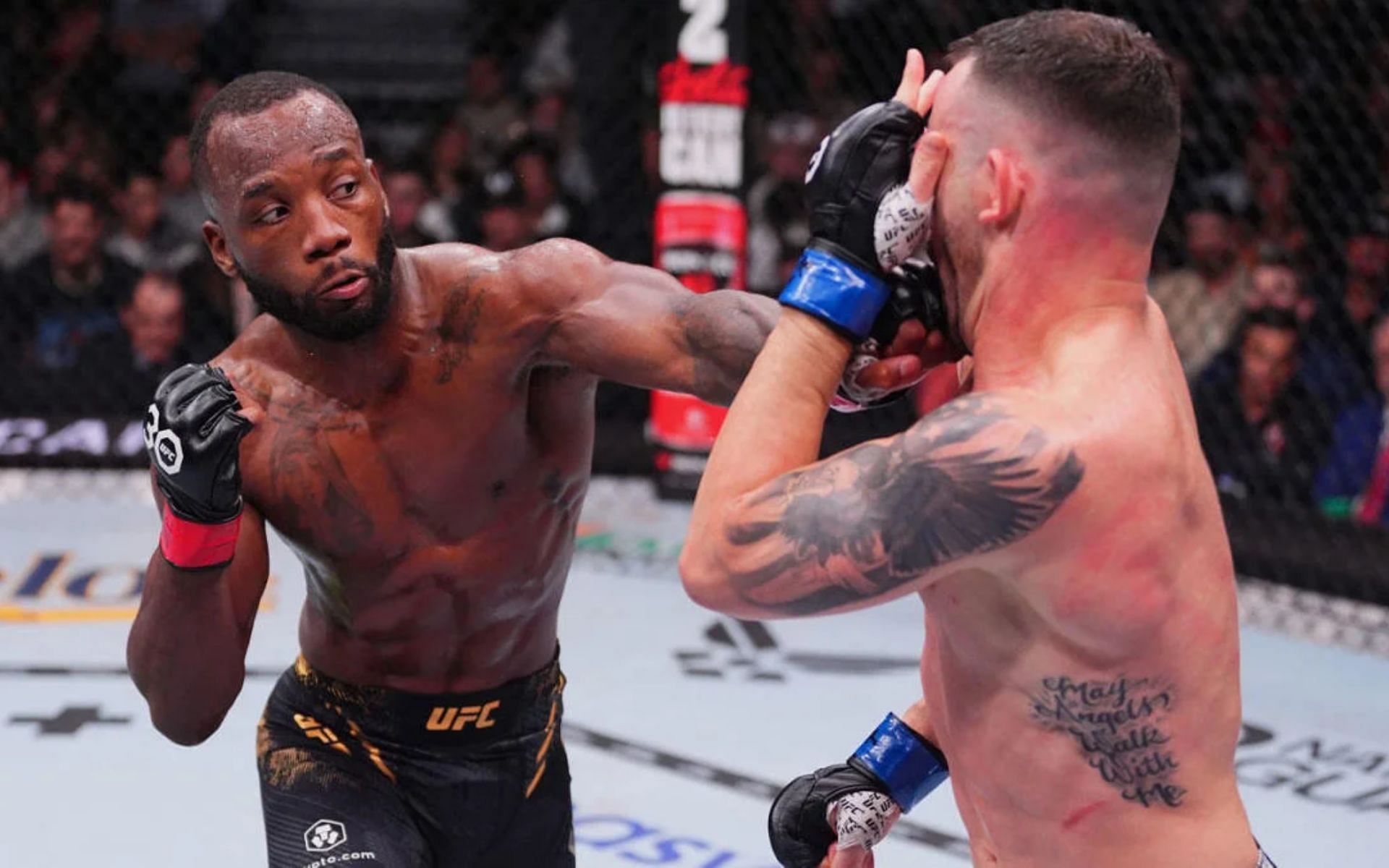 "He Never Loses, Just Runs Out Of Time" - Ex-UFC Star Earns Praise From ...