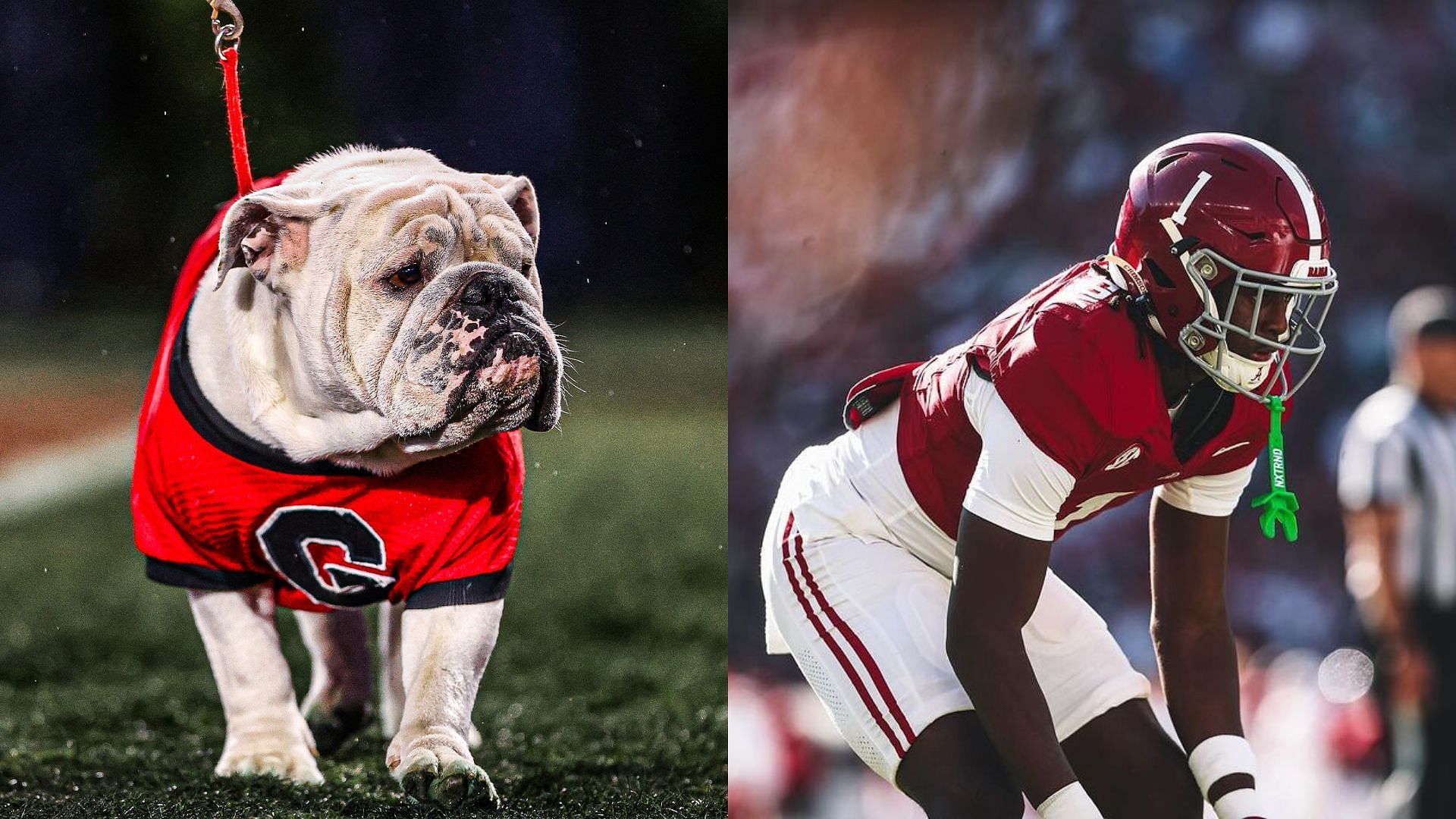 7 best vs Alabama rivalry memes that are cracking up the