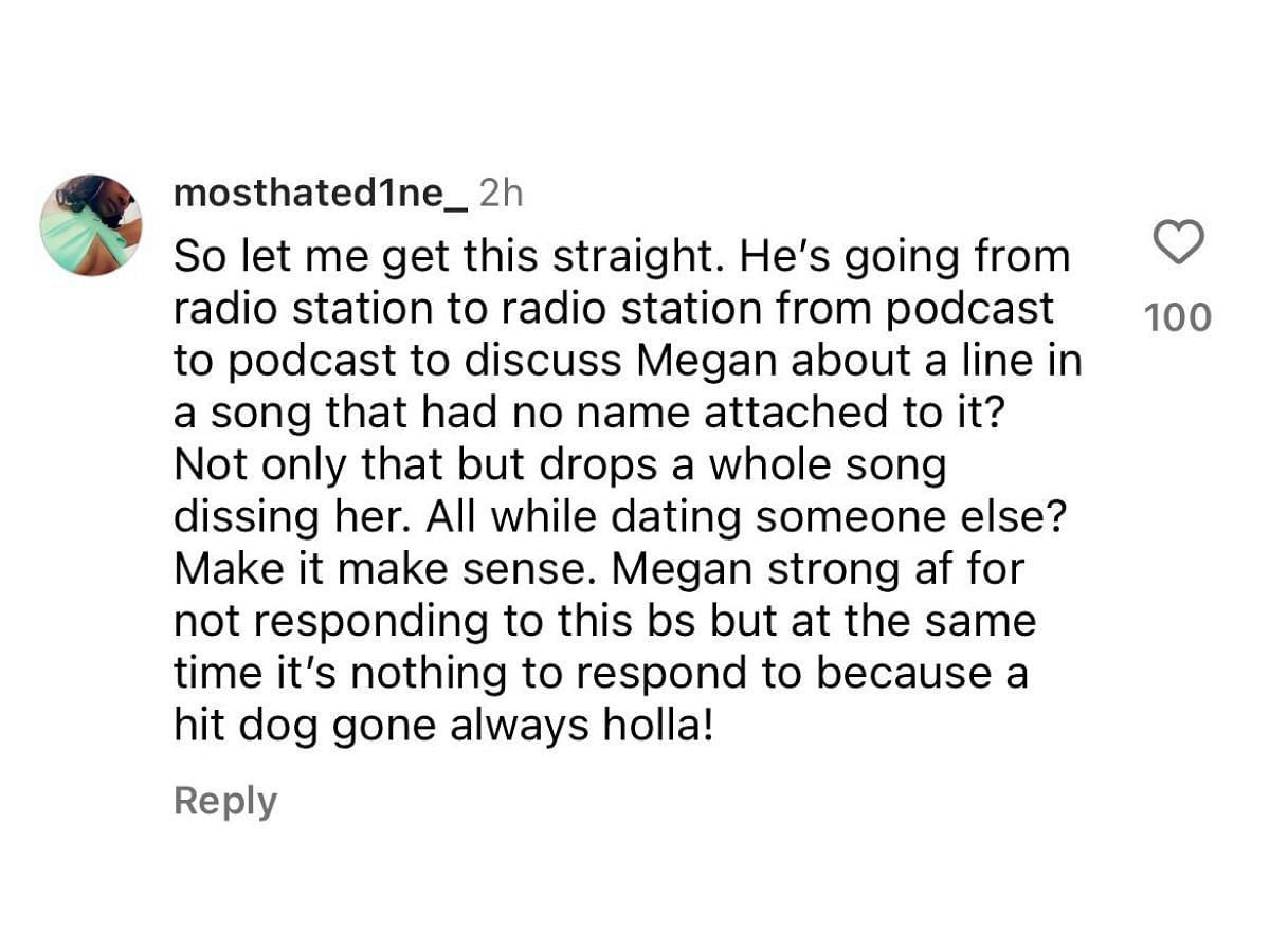 A fan shows support to Megan Thee Stallion (image via @mosthated1ne_ on Instagram)