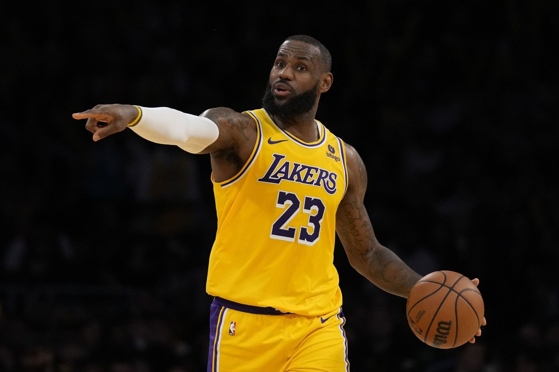 LeBron James LA Lakers