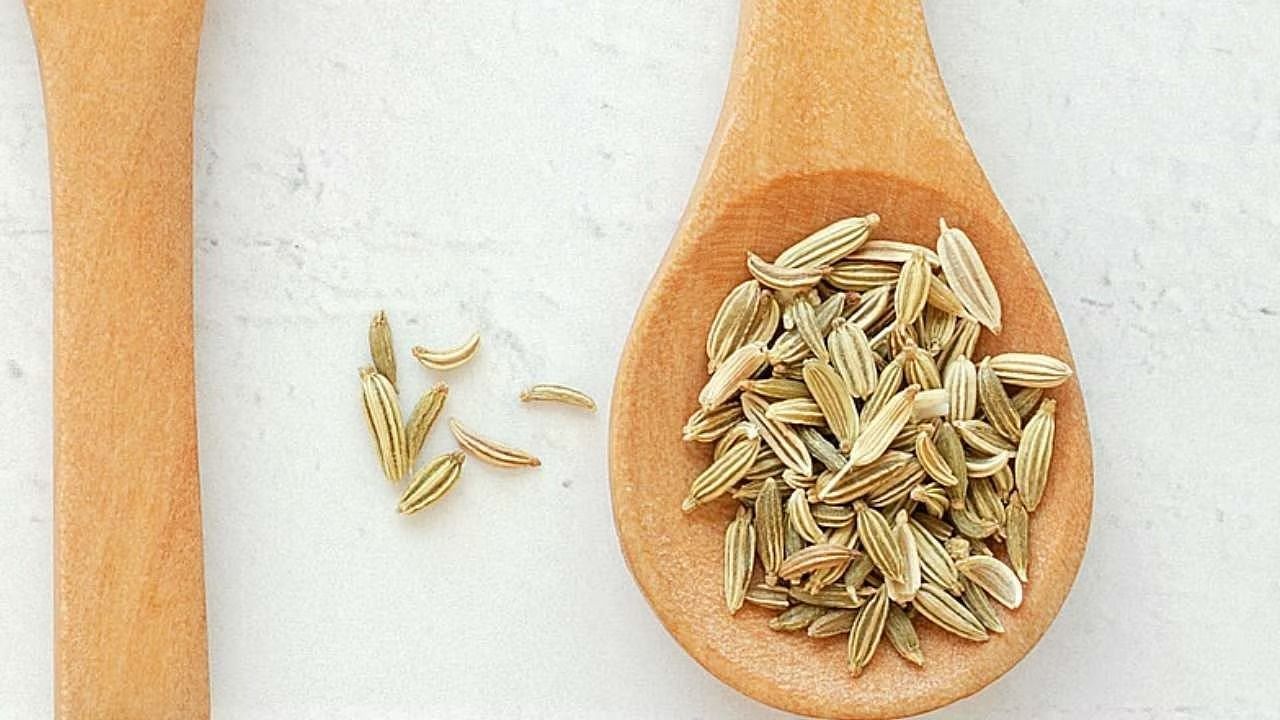 Fennel Seed (Image via Freepik)