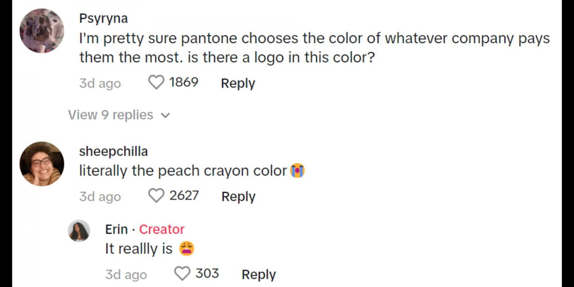 Netizens criticize the company for its choice of Peach Fuzz as the Color of the Year 2024. (Image via TikTok/@erinraii)