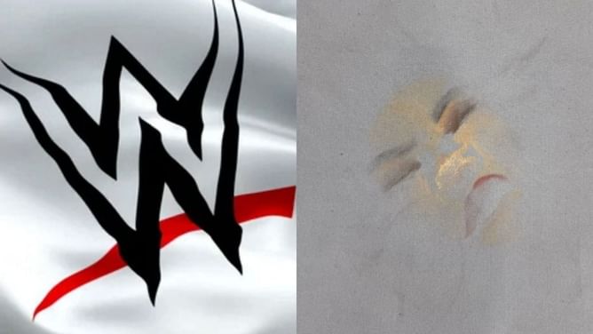 31-year-old WWE Superstar shares interesting image following brutal live event match