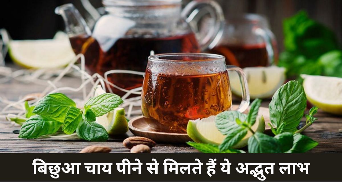 बिछुआ चाय पीने से मिलते हैं ये अद्भुत लाभ(फोटो-Sportskeeda hindi)