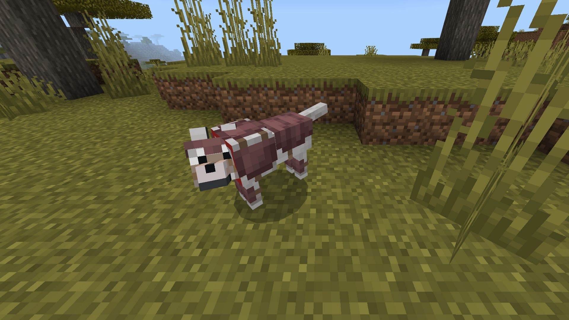 Minecraft community reacts to armadillos and wolf armor being added to Bedrock preview (Image via Mojang) 