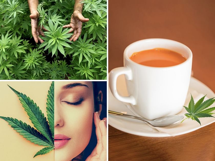 How to Make Cannabis Tea: Healthy Recipes for DIY Cannabis-Infused