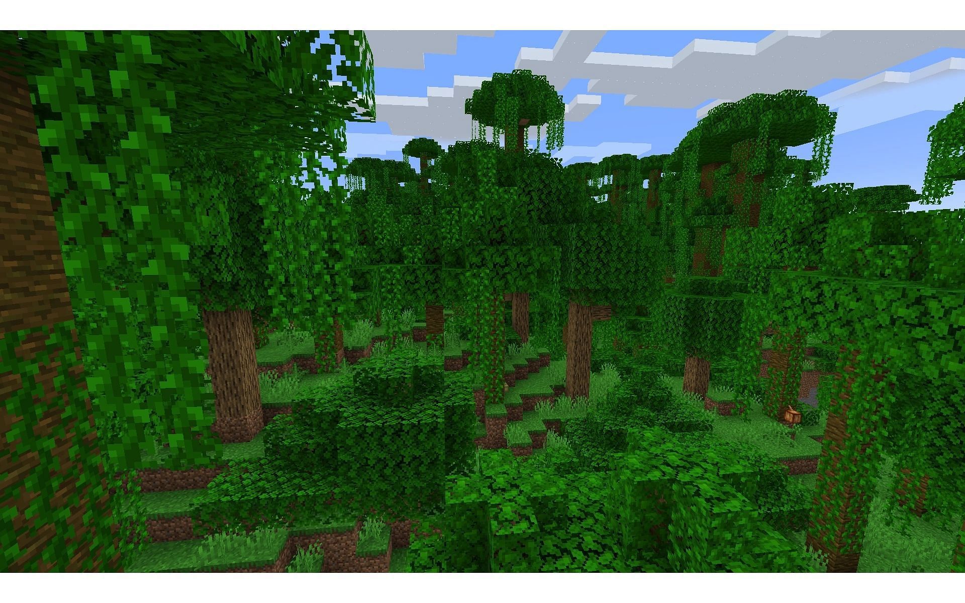 Le biome de la jungle (Image via Fandom)