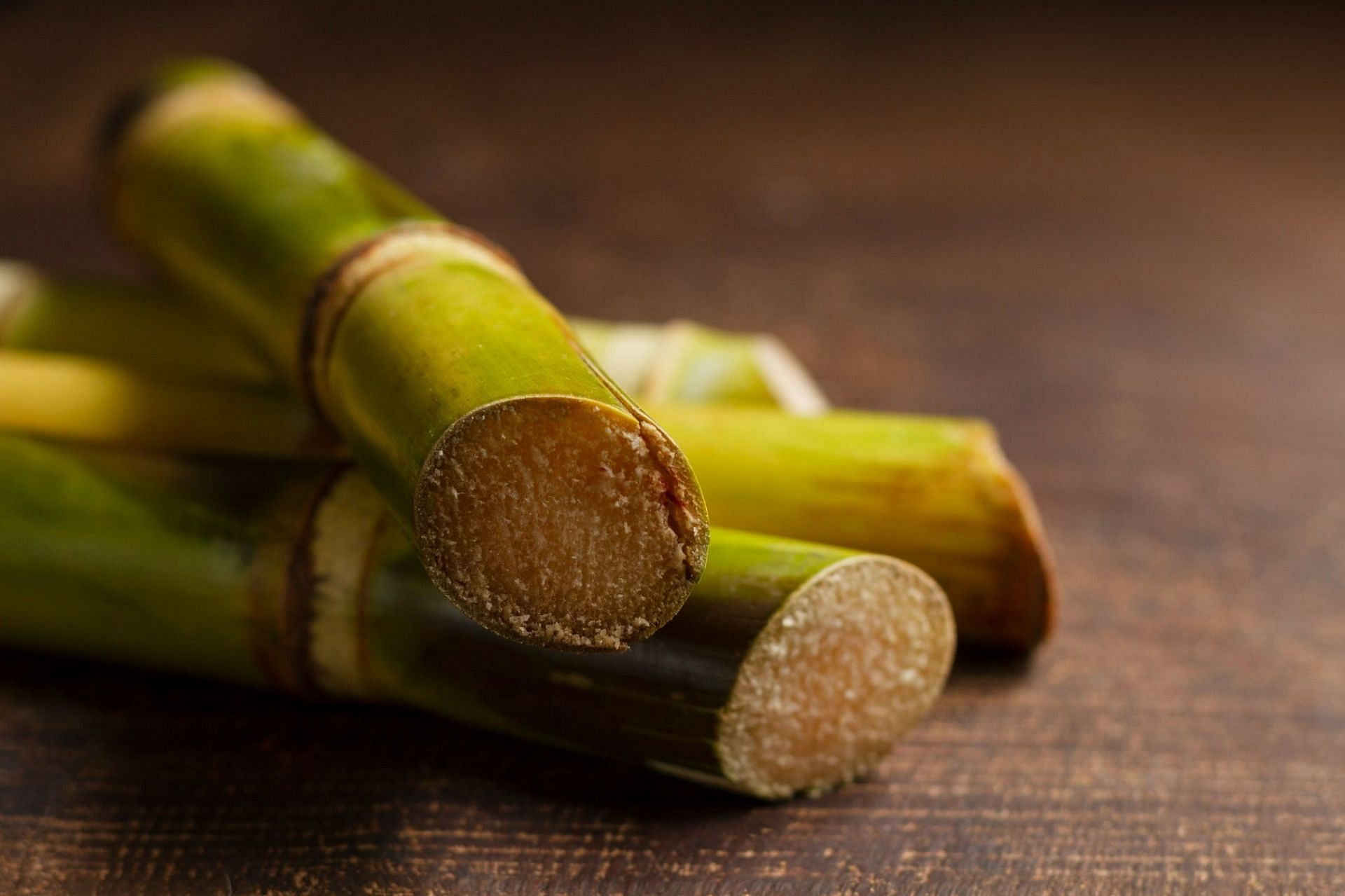 Can you eat bamboo shoots? (Image by Freepik on Freepik)