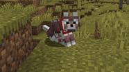  How To Make Wolf Armor In Minecraft 1 21