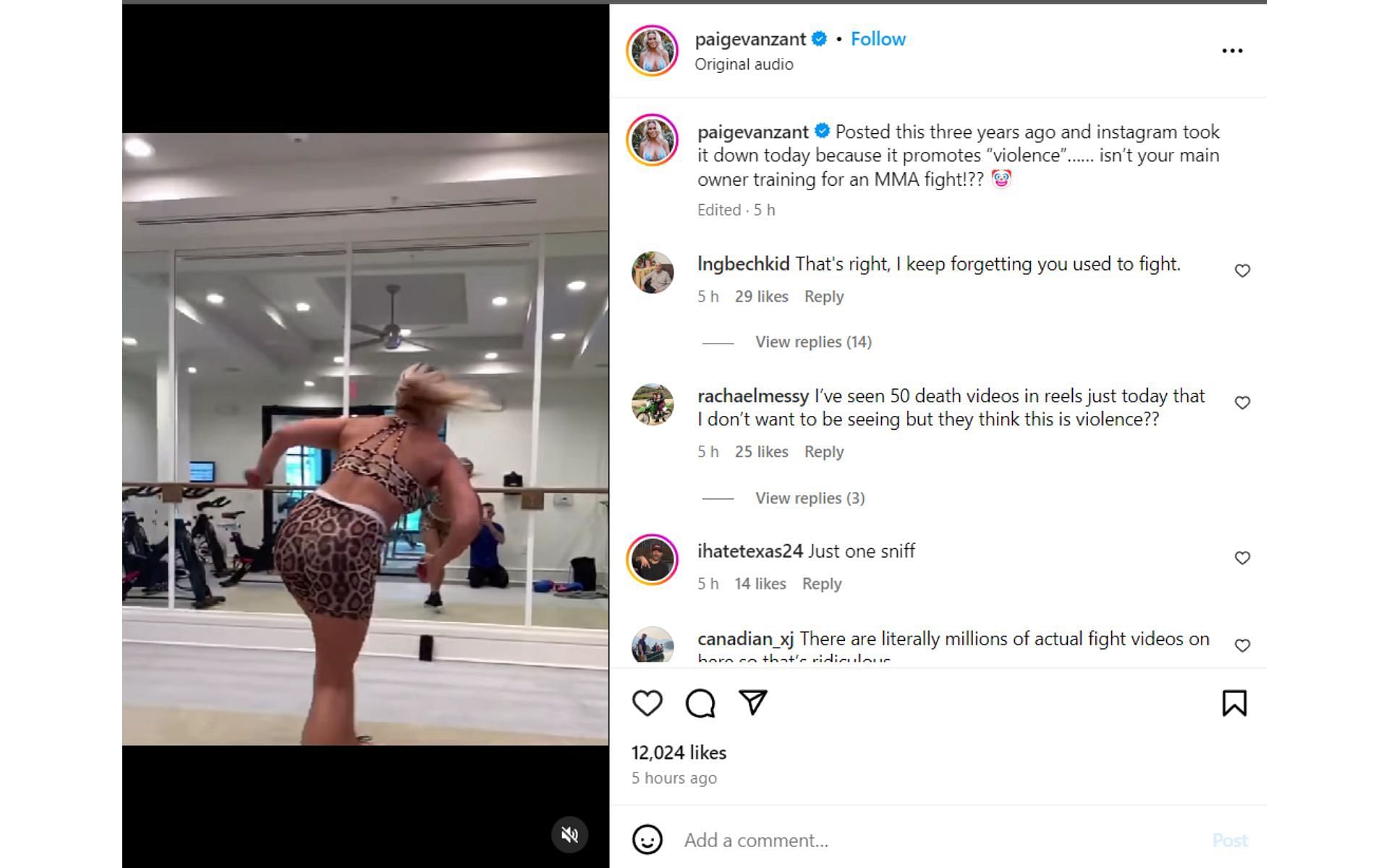 Screenshot from @paigevanzant on Instagram