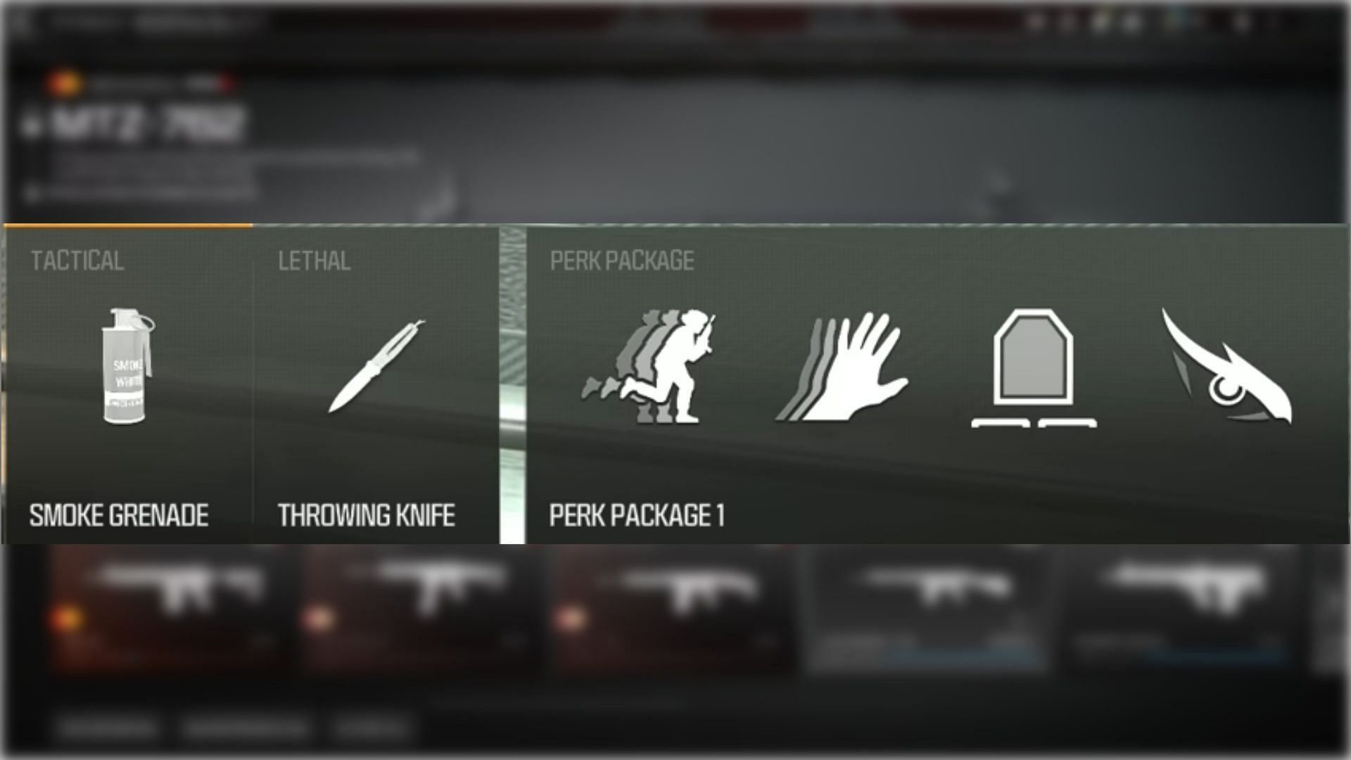 MTZ Interceptor class setup (Image via Activision)