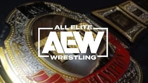 Former AEW champion pitches to play major MCU character