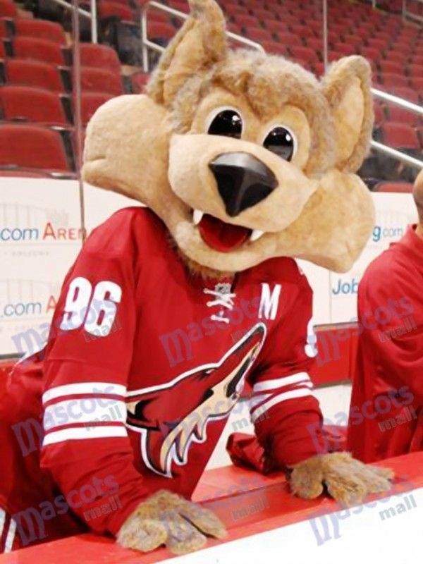 Arizona Coyotes Mascot Howler The Coyote