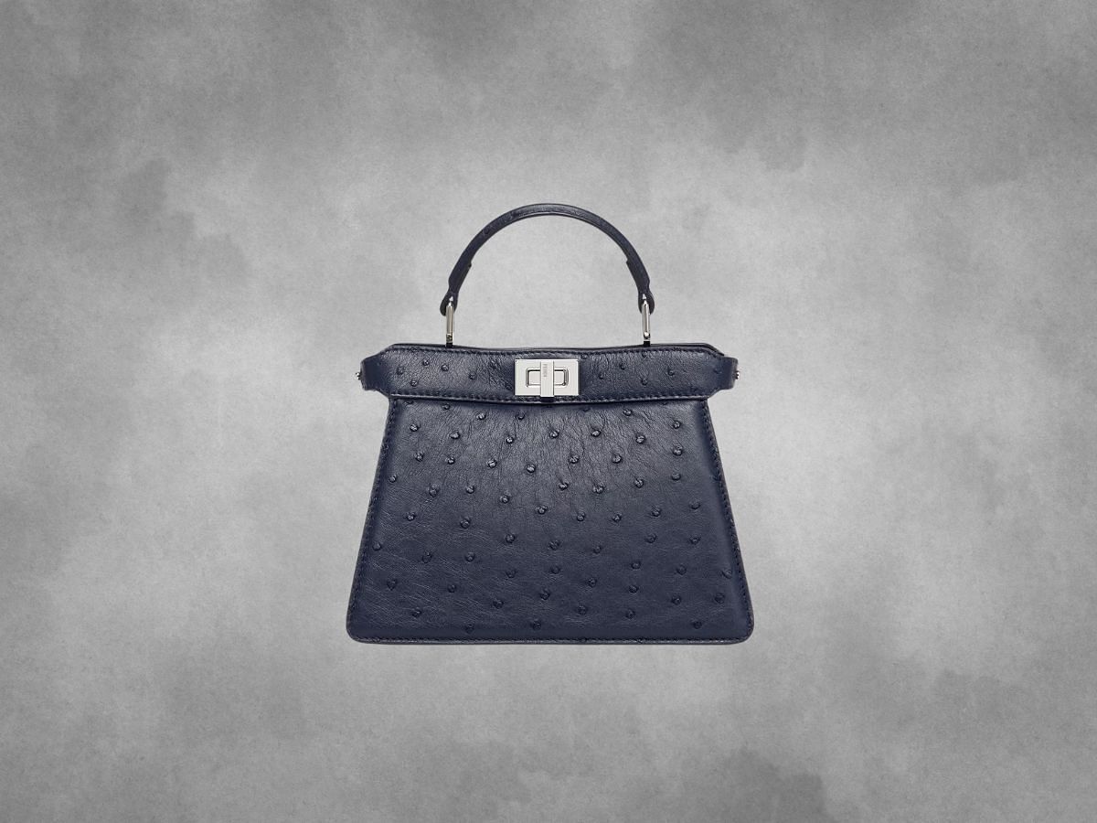 most expensive fendi bag