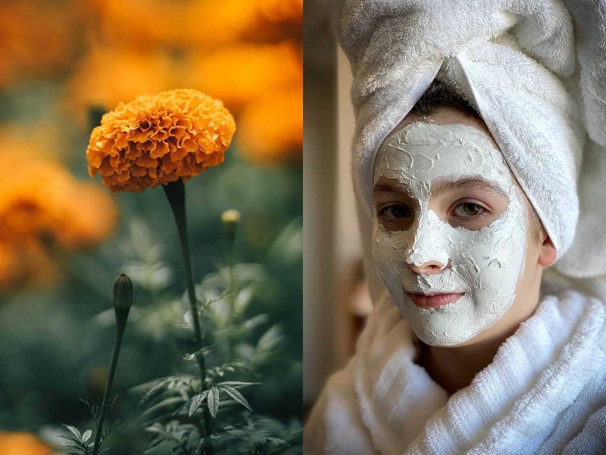 How can Marigolds be beneficial for skin care? 5 ways to achieve a glowing skin