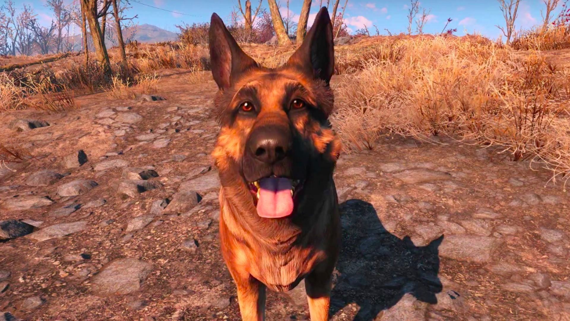 Dogmeat is popular with fans (Image via Twitter/@MichelleBurgess)