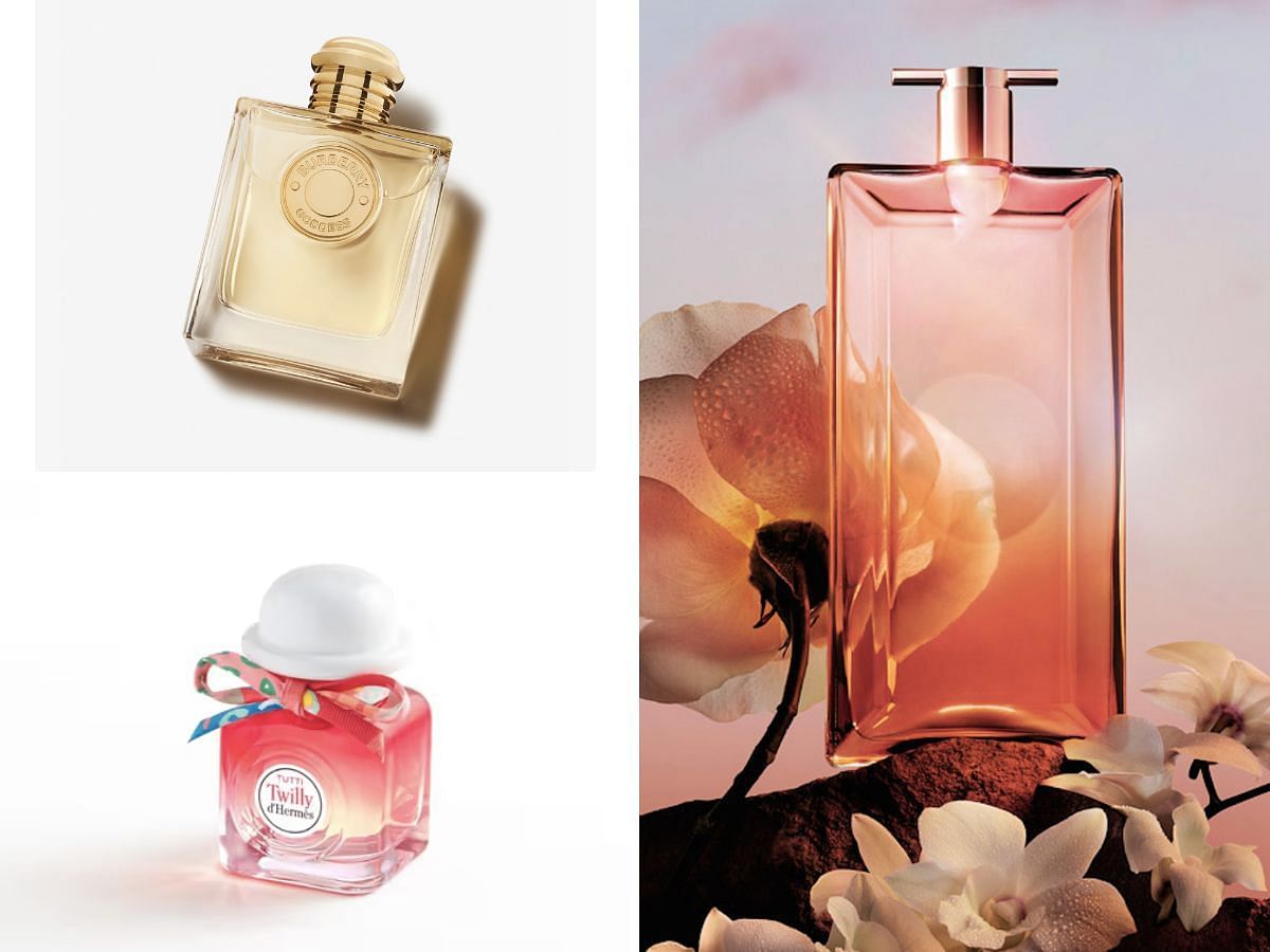 Luxurious perfumes worth wearing this holiday season (Image via Sportskeeda)