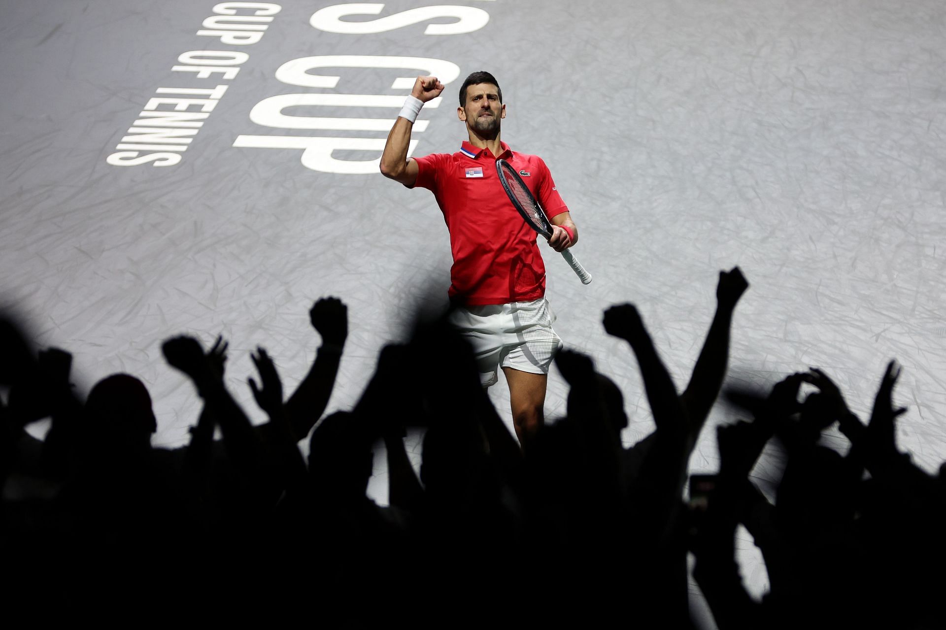 Novak Djokovic at the 2023 Davis Cup Final