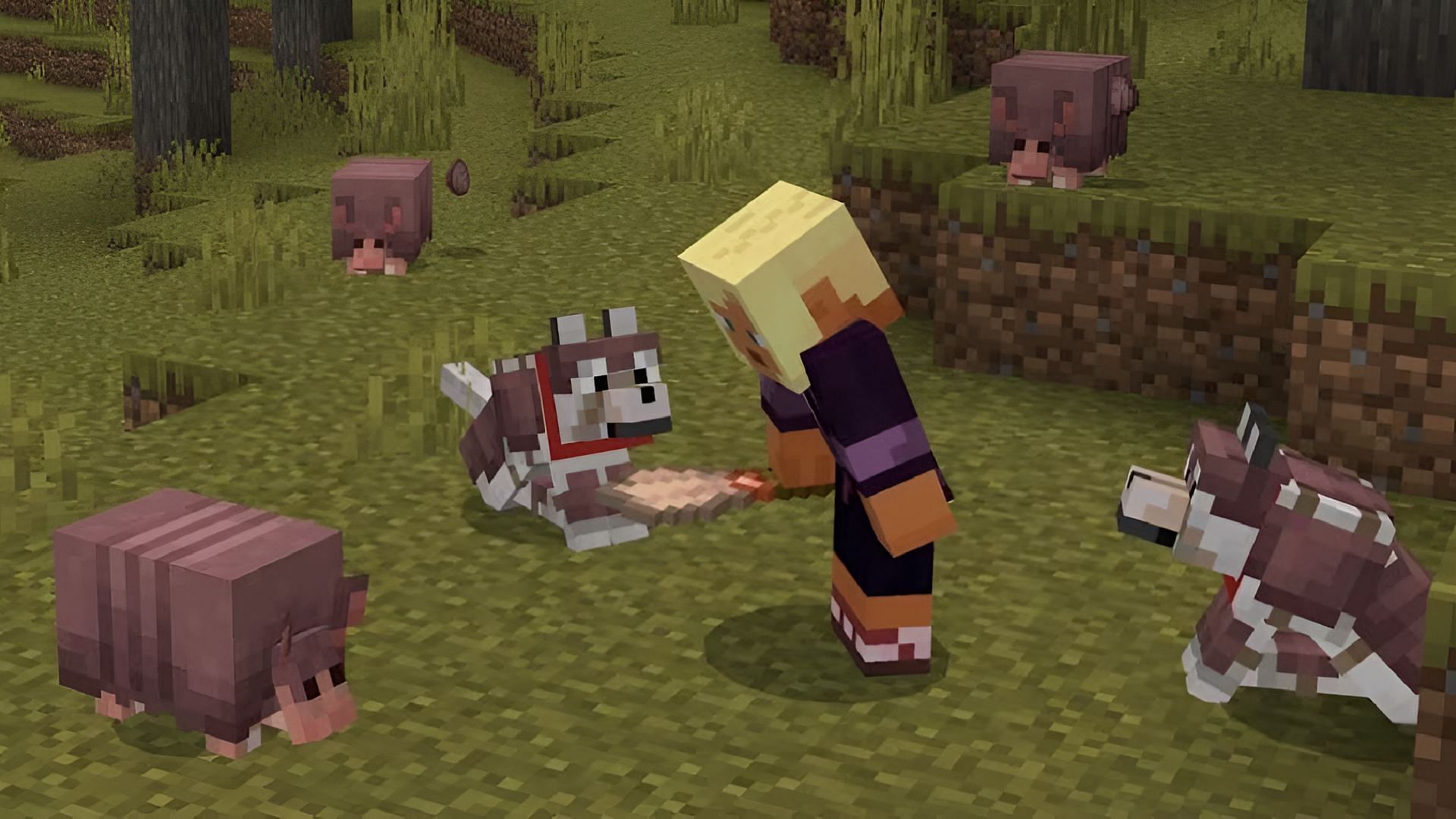 Minecraft: Bedrock Edition has finally introduced armadillos and wolf armor from the 1.21 update (Image via Mojang)